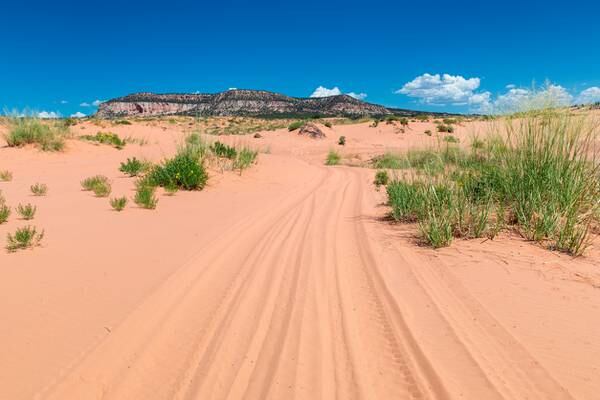 Teen dead after being buried under sand dune at a Utah state park