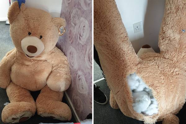 ‘Breathing’ giant teddy bear leads police to suspected car thief’s hiding spot